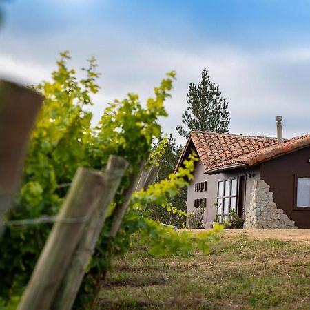 Bed and Breakfast Bungalow Miramar & Jeronimo At Casa Marin Vineyards Cartagena  Exterior foto