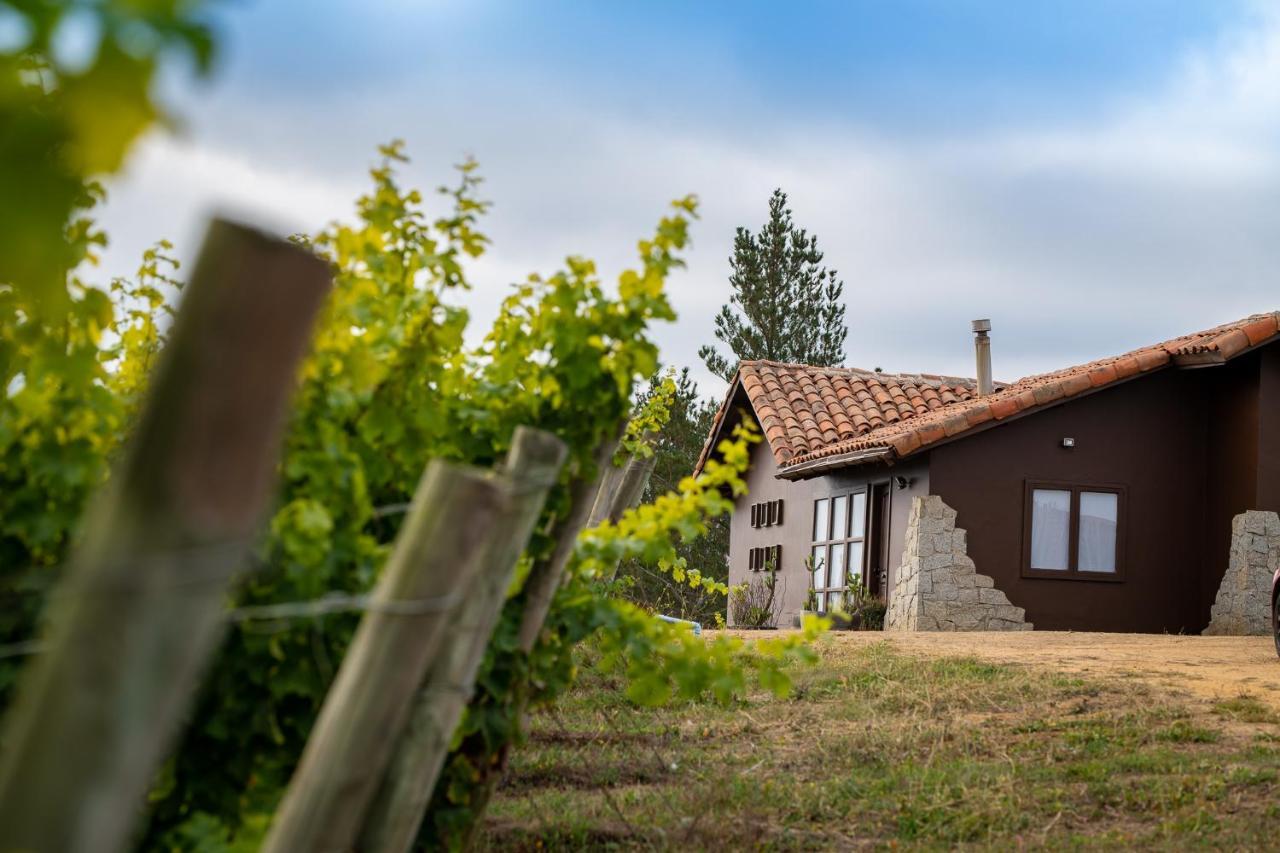 Bed and Breakfast Bungalow Miramar & Jeronimo At Casa Marin Vineyards Cartagena  Exterior foto